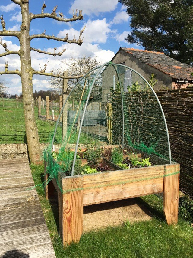 Image DIY kitchen garden table Huerta