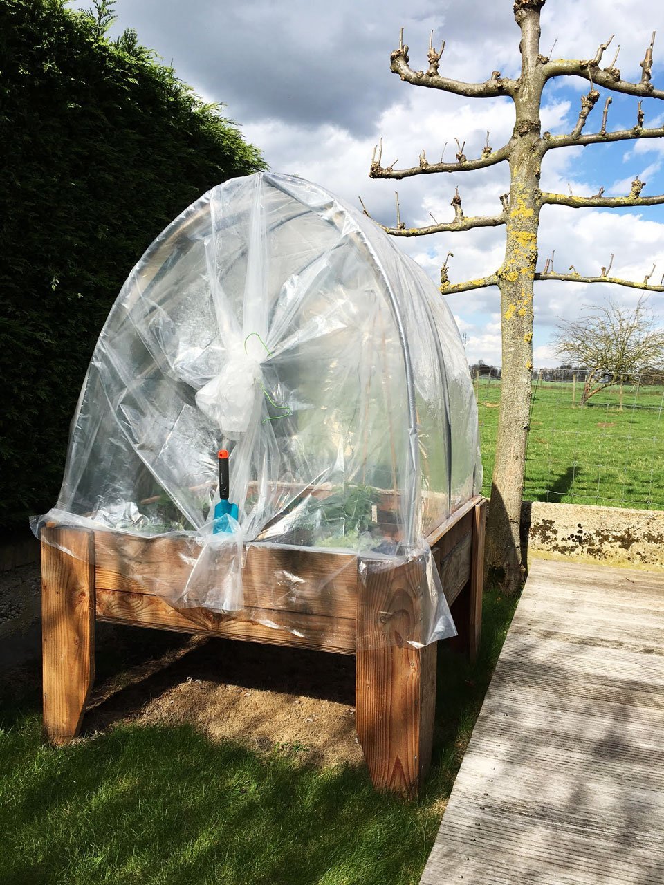 Image DIY kitchen garden table Huerta