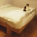 DIY designer double bed 'Azobe' by-Rika-W