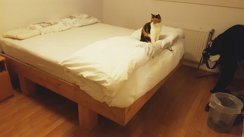 DIY designer double bed 'Azobe' by-Rika-W