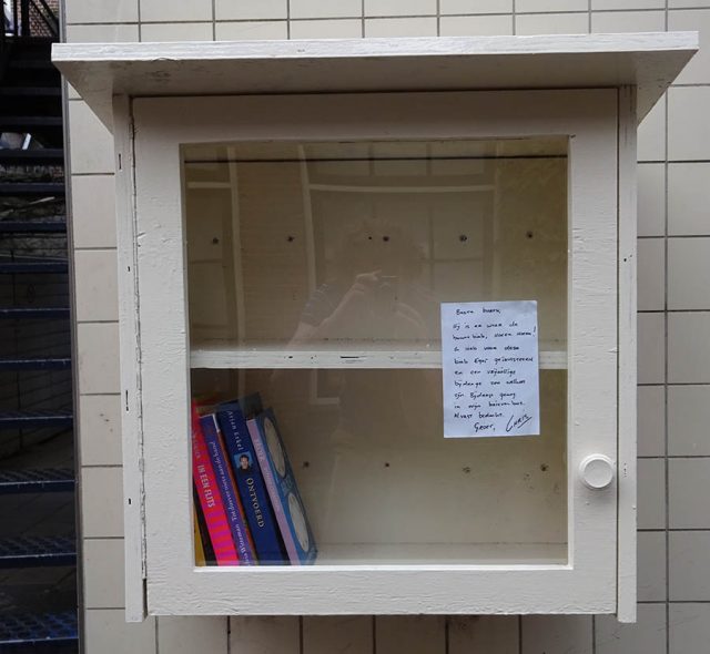 DIY Build it yourself Free little library by Chris