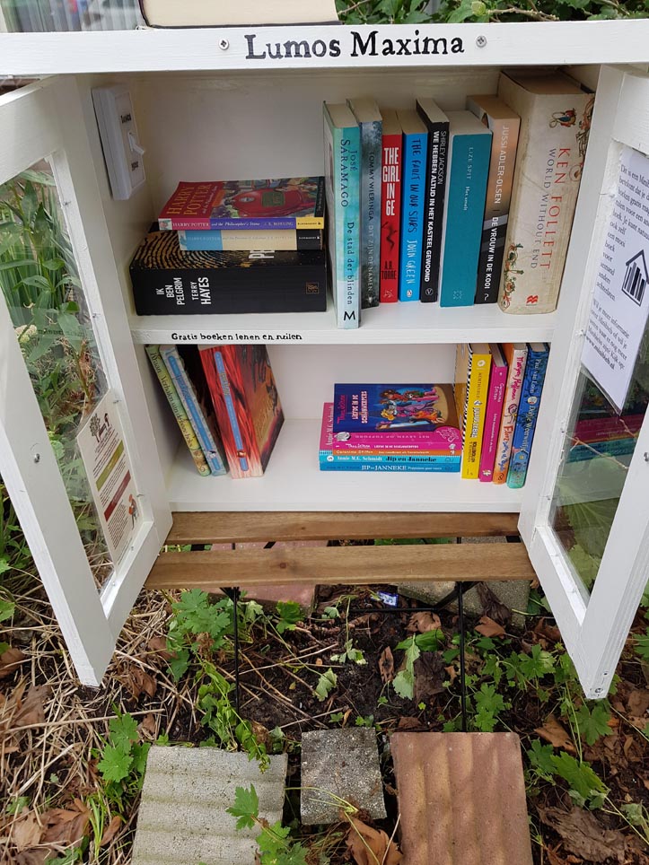 DIY Build it yourself Free little library by Eva