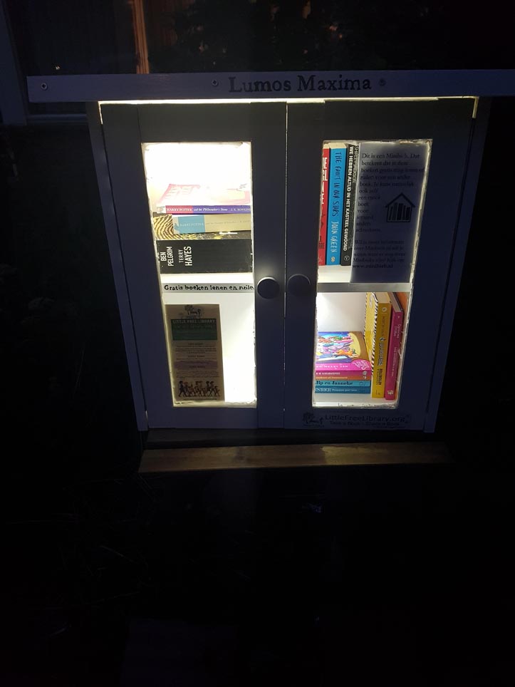 DIY Build it yourself Free little library by Eva