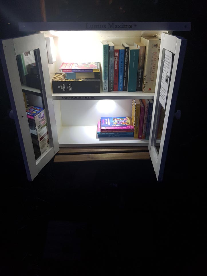 DIY Build it yourself Free little library by Eva