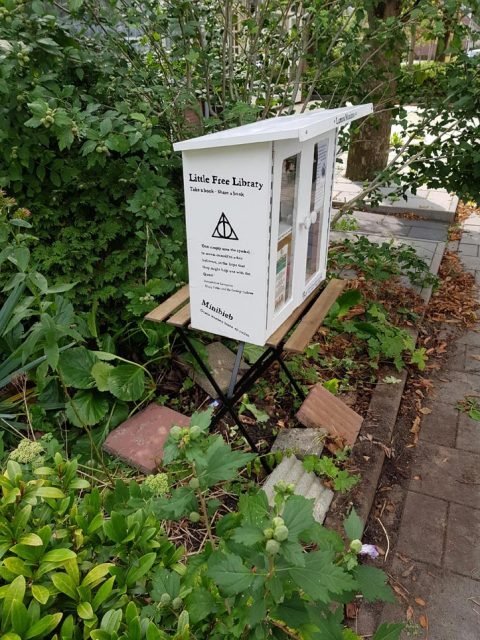 DIY Build it yourself Free little library by Eva