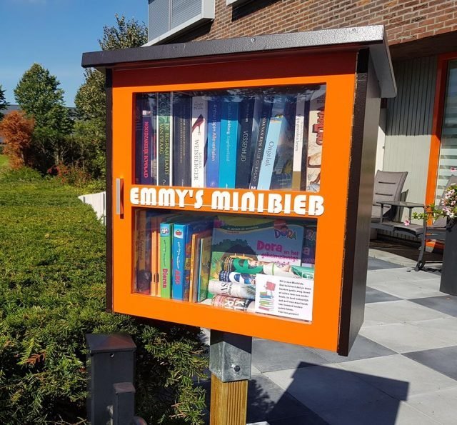 DIY Build it yourself Free little library by Emmy