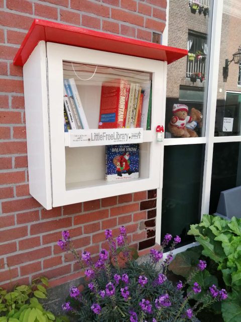 DIY Build it yourself Free little library by